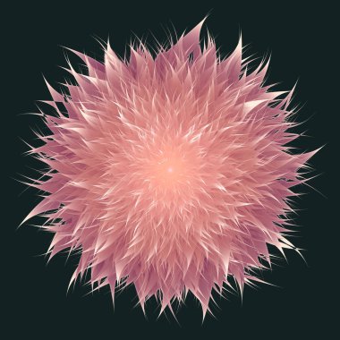 İzole edilmiş kasımpatı çiçeği. İzole edilmiş lonca çiçeği. Harika bir çiçek. Mandala. Floresan çiçekleri. Neon işareti. Işıldayan neon. Vektör Mandala izole edildi. Vektör illüstrasyonu.