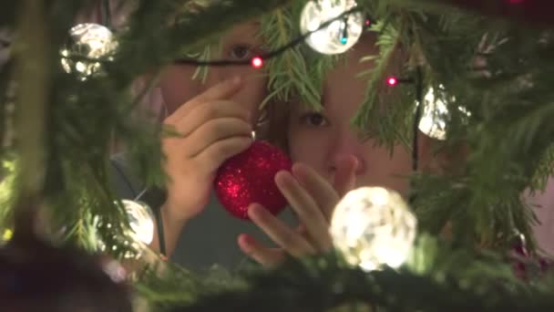 Çocuklar Noel Ağacı Süslerler Fotoğraf Makinesi Ladin Içinden Çekiliyor Kamera — Stok video
