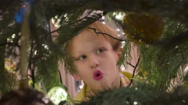 男孩在寻找圣诞节的精神 摄像机是从云杉内部拍摄的 一个小男孩凝视着圣诞树的树枝 欢快地审视着这些装饰品 — 图库视频影像