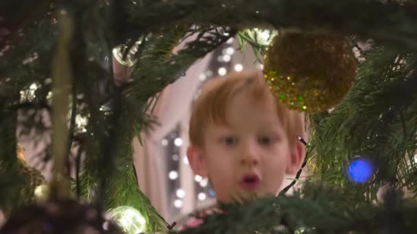 Різдвяний Подарунок Мами Тата Камера Падає Зсередини Ялини Дитина Являється — стокове відео