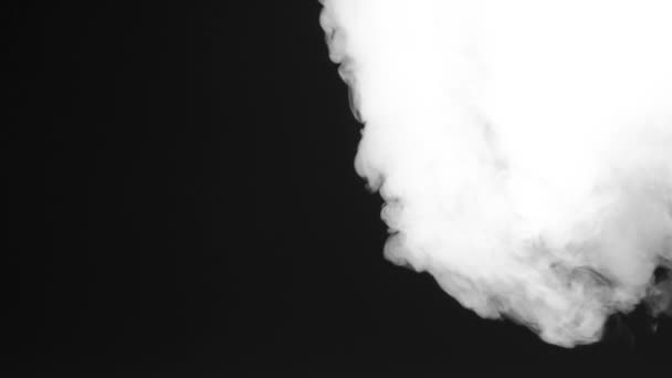 Vorticoso Flusso Fumo Bianco Riempie Gradualmente Sfondo Nero Ottimo Creare — Video Stock
