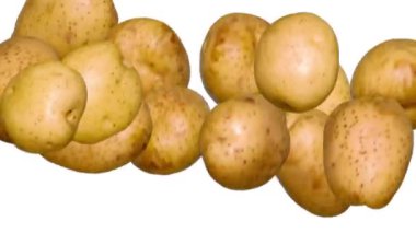 Patates kızartmasının tüm aşamalarının kavramsal somutlaşması. Üretimin 6 aşaması beyaz arka planda. Yavaş Hareket
