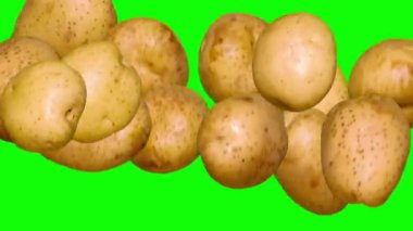 Patates kızartmasının tüm aşamalarının kavramsal somutlaşması. Chroma Key 'de üretimin 6 aşaması. Yavaş Hareket