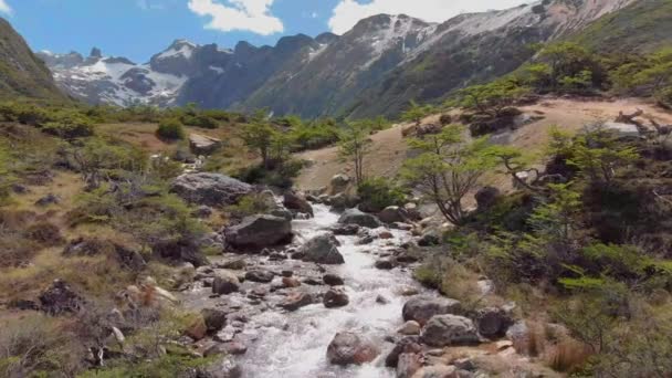 Rzeka Laguna Esmeralda Sezonie Letnim Ushuaia Tierra Del Fuego Patagonia — Wideo stockowe