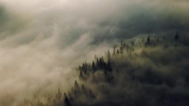 Sihirli sisli ormanın sisli sonbahar manzarası, Aerialview aşağı eğil yakınlaş 