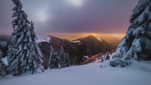 Kış Dağları Zaman Aşımına Uğruyor Renkli Bulutlar Karlı Ormanın Üzerinde — Stok video