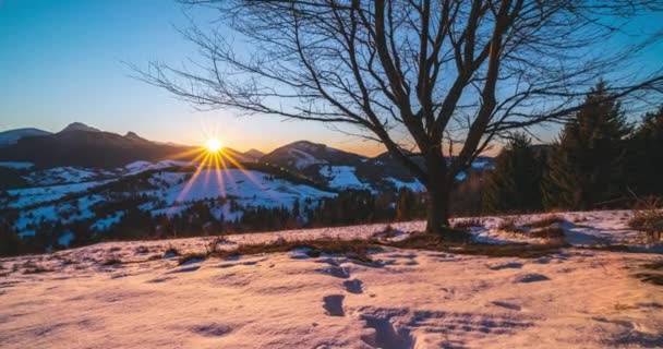 Time Lapse Beautiful Sunset Cherry Tree Winter Alpine Snowy Nature — Stock videók