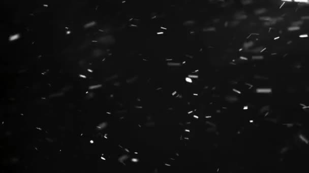 Sneeuw Valt Zijwaarts Sterke Wind Het Koude Winterseizoen Zwarte Achtergrond — Stockvideo