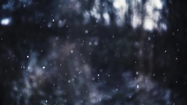 Медленное Движение Реальный Снег Падает Замерзшем Зимнем Лесном Фоне Идет — стоковое видео