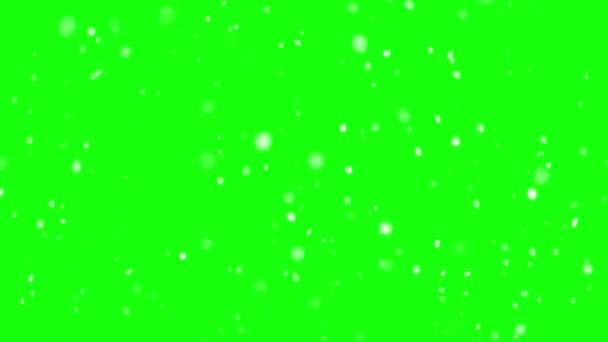 寒い冬に雪が降り 実際の雪は緑の画面の背景に隔離されたゆっくりとした動き 画面としてオーバーレイブレンド層 明るくまたは追加されます — ストック動画