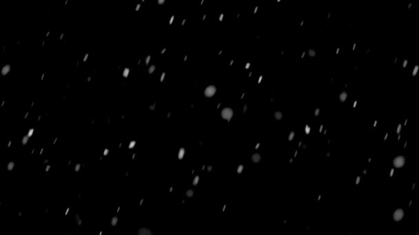 Χιονίζει Κρύο Χειμώνα Πραγματικό Χιόνι Πέφτει Απομονωμένο Μαύρο Φόντο Επικάλυψη — Αρχείο Βίντεο
