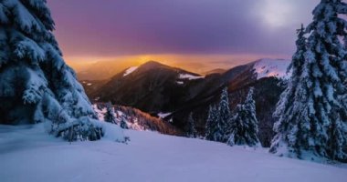 Donmuş kış alplerinde renkli bulutlar hızlı hareket eder dağ karlı orman doğasında soğuk sabah manzarasında altın gün doğumu, dondurucu doğal manzara. Zaman aşımı, Panoramik, Pan.