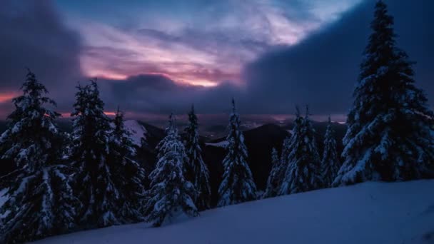 在寒冷的雪天里 蓝天清晨 在寒冷的冬季森林里 快速的云彩划过时间 时间流逝 4K的风景镜头 — 图库视频影像