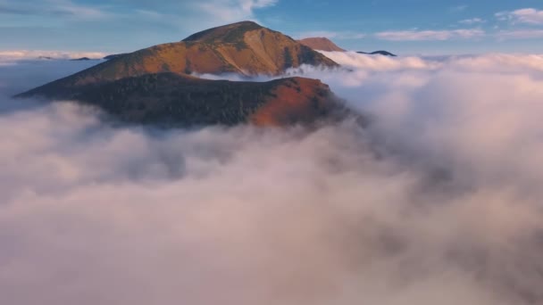 Повітряний Вид Панорами Туманних Карпатських Гір Восени Сходу Сонця Свобода — стокове відео