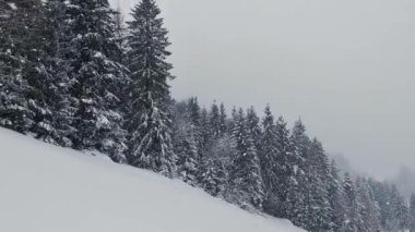 Kış mevsiminde kar yağışı soğuk ve romantik hava koşullarında olur. Güzel donmuş doğal manzaranın panoramik manzarası 