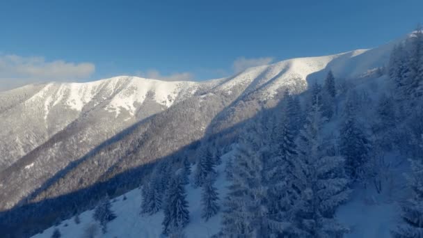 寒い冬の凍結した森の空中ビューは 青空と日当たりの良い自然の風景の中に山をAlps — ストック動画