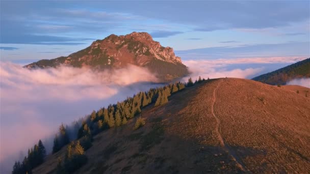 Peaceful Aerial View Autumn Alps Mountains Hidden Foggy Nature Sunset — Stok video