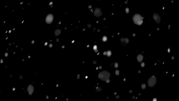 Winter Background Slow Motion Falling Snow Snowing Isolated Black Blend — Video Stock