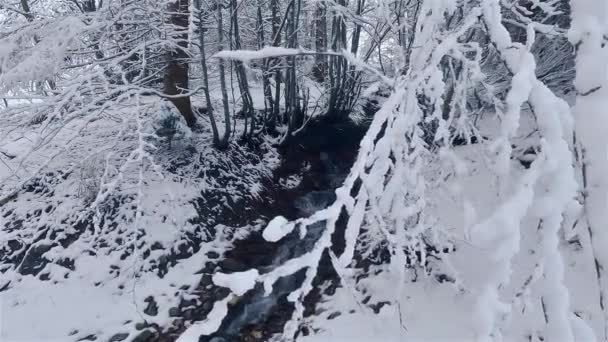 冬季森林溪流在寒冷冰雪冰冻的大自然中 户外旅游背景慢镜头 — 图库视频影像