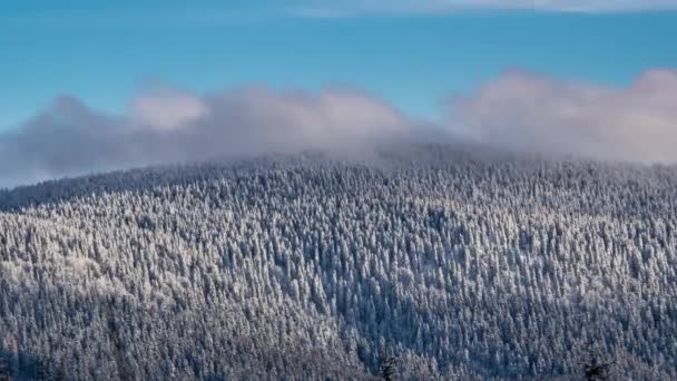 Швидкі Хмари Рухаються Над Замерзлою Зимовою Горою Лісу Сонячному Вітряному — стокове відео