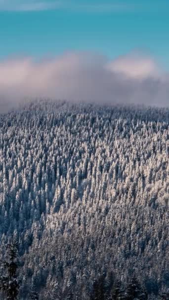 Vertical Video Fast Clouds Motion Frozen Winter Forest Mountain Sunny — Video Stock