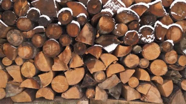Firewood Background Fire Wood Stacked Prepared Winter Season Heat Energy — Vídeos de Stock