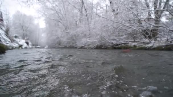 冷たい凍結雪の性質で渓流の川に流れる透明な水の波のスローモーション フィールドのコピースペースの深さ自然背景 — ストック動画