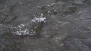 Slow motion of crystal clear water stream river waves, peaceful nature background. Copy space