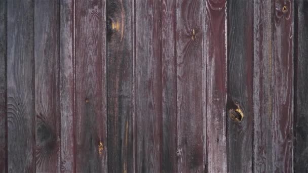 グレーと紫の木の板 コピースペースで作られた古い木製の壁の自然背景 — ストック動画