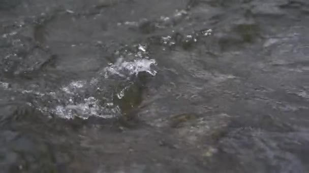 Slow Motion Crystal Clear Water Stream River Waves Peaceful Nature — Video Stock