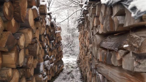 Pile Wood Firewood Stacked Heap Prepared Winter Heating Season Countryside — Αρχείο Βίντεο