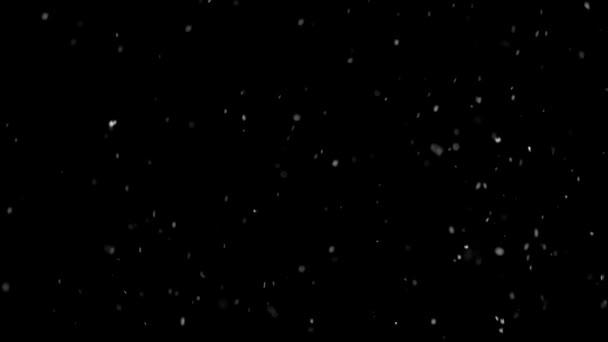 Winter Background Snowing Black Isolated Slow Motion Falling Snow Snows — Stock videók