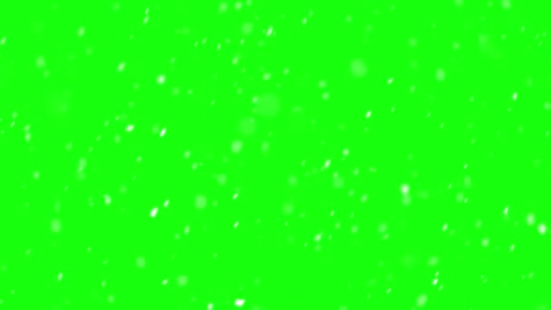 Winter Background Snowing Green Screen Isolated Slow Motion Falling Snow — 图库视频影像