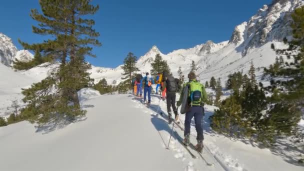 Lyžařské Túry Horách Alpy Příroda Krásném Slunečném Dni Dokonalou Sněhovou — Stock video