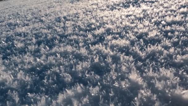 Background Snow Hoarfrost Rime Morning Sun Light Cold Winter Season — Stock videók