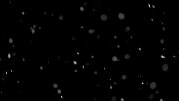 Snow Snowing Isolated Black Background Peaceful Winter Foreground Easy Blend — Stock videók