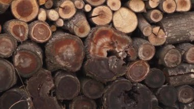 It is snowing over pile of Firewood background, Fire wood stacked prepared for winter season heating material in Countryside, 4k video panning