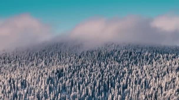 Clouds Motion Fast Frozen Forest Mountains Nature Cold Winter Evening — Vídeo de Stock