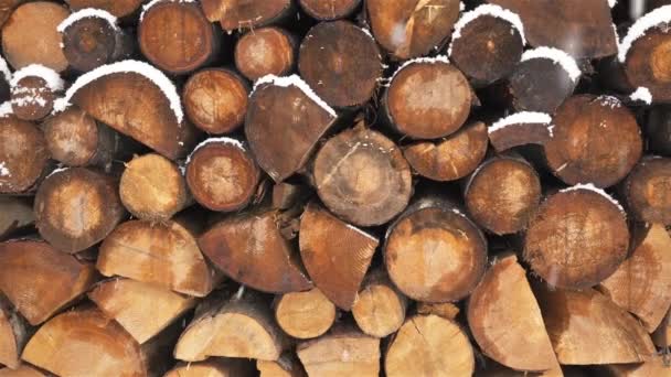 Snowing Pile Firewood Background Fire Wood Prepared Winter Season Heating — Vídeo de stock