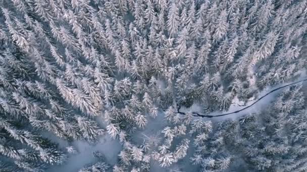 Bevroren Winterbergen Besneeuwd Bos Natuur Landschap Luchtfoto Buiten Achtergrond Tilt — Stockvideo