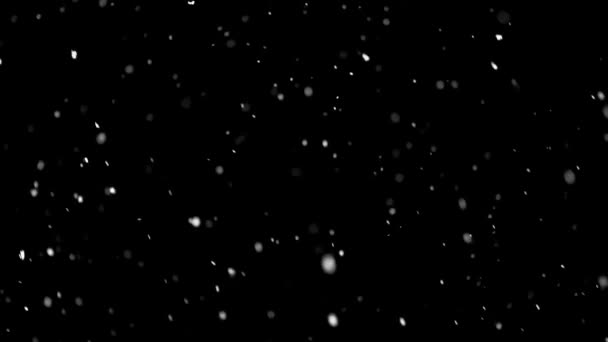 雪それは雪黒の背景にスローモーション それは雪です 画面として簡単にブレンド 光または新しい層を追加 ビデオオーバーレイ — ストック動画