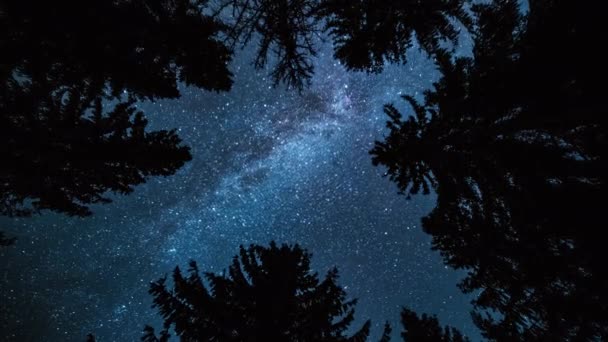 Magic Top View Milky Way Galaxy Stars Rotates Dark Forest — Stockvideo