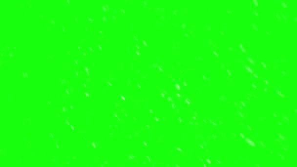 Echter Schnee Fällt Auf Dem Hintergrund Des Grünen Bildschirms Der — Stockvideo