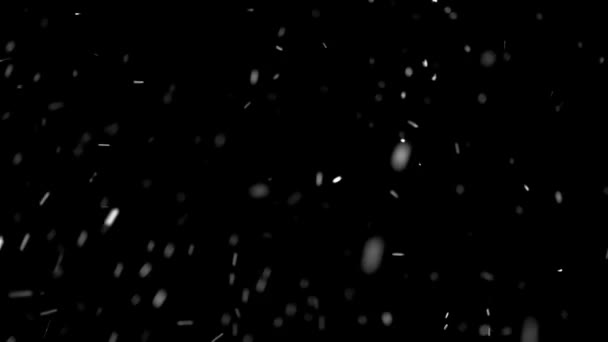 Video Overlay Snow Snowing Black Background Cold Winter Season Easy — Wideo stockowe