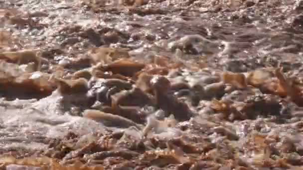 豪雨の後の夏に泥の川の茶色の水が晴れるゆっくりとした動き 地球温暖化の背景 — ストック動画