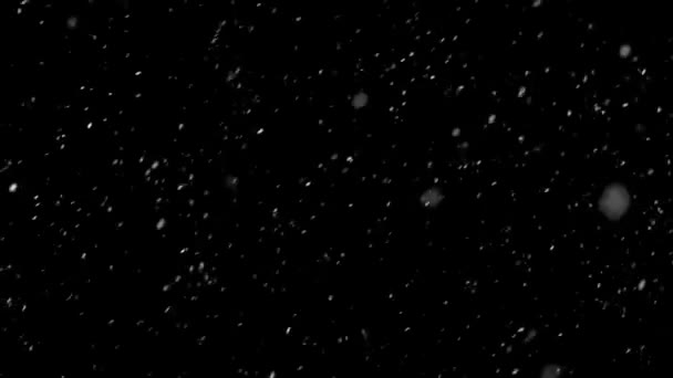 Snowing Slowly Cold Winter Slow Motion Snow Layer Isolated Black — Αρχείο Βίντεο