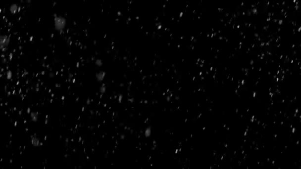 Real Snow Cold Winter Snowing Black Background Easy Blend Foreground — Wideo stockowe
