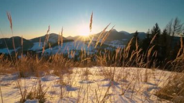 Colorful sunrise panorama background in winter mountains nature with dry grass in foreground. Dolly shot, Panoramic landscape, Pan. 