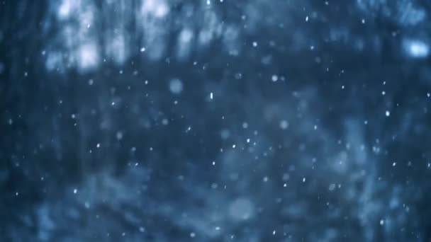 Snowing Natural Background Cold Blue Winter Season Slow Motion Real — Stock videók