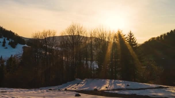 早春の森の山の自然界で美しい黄金の夕日の時間経過 タイムラプス パノラマ — ストック動画